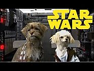 TT01 | Star Wars Trilogy (Cute Puppy Edition)