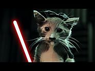 TT01 | Jedi Kittens Strike Back