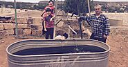 Harnessing Sustainable Power: Solar Water Pumps for Wells