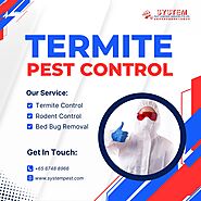 Defending Your Sanctuary: Termite Control by System Pest