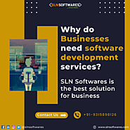 Why do businesses need software development services?