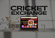 Cricket Exchange: FAQs and Things You Need to Know