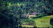 Experience Coorg with the Best Hotels Coorg has to Offer