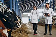 Mastering Dairy Efficiency: Unveiling the Ultimate Guide to Milk Distribution Management Systems