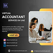 Virtual Accountant Services in UAE
