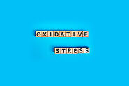 Foods to Eat to Protect the Body from Oxidative Stress | Outlook Health