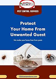 Pest Control Technicians in Green Bay: Your Shield Against Unwanted Invaders