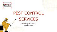 Spider & Bed Bug Extermination in Bellevue Green Bay - Title Town Pest Pros