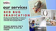 Full Service Pest Control Company | Bug & Insect Extermination