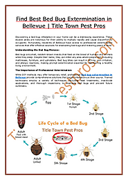 Find Best Bed Bug Extermination in Bellevue - Title Town Pest Pros