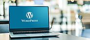 How to Choose the Right WordPress Development Agency for Your Project