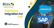 Salesforce Integration for SAP - BizX Technologies