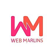 Email Marketing Agency in Delhi | Bulk Email Marketing Services - Web Marlins