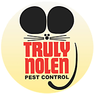 Mosquito Control Services | Truly Nolen India