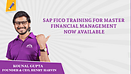 SAP FICO training for Master Financial Management Now Available