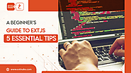 A Beginner's Guide to ExtJS: 5 Essential Tips - ExtNuke