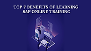 Top 7 Benefits of Learning SAP Online Training