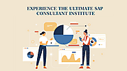Experience the Ultimate SAP Consultant Institute