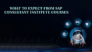 What to Expect from SAP Consultant Institute Courses