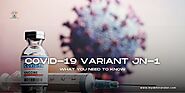 New Covid-19 Variant JN-1: What You Need to Know