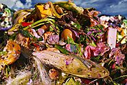 Food Waste Treatment System for Kitchen Waste