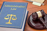 Learn How to Construct Arguments for Administrative Law Assignment - Blogozilla