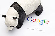 A Google Webmaster Analyst Explains Panda