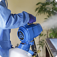 Pest Exterminator and Home Pest Control in Melbourne
