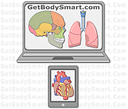 GetBodySmart: Interactive Tutorials and Quizzes On Human Anatomy and Physiology