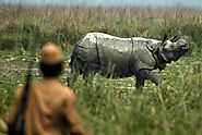 Major Reshuffle of Kaziranga Officials After Reports of Two Rhinos Killed in a Week | Voice Of Greater Assam