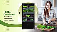 Vertical & hydroponic farming at home | hydroponics kit - Happy Farming