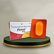 Le-Mantus Pharmaceutical Company - Fenzi 3 gm bolus