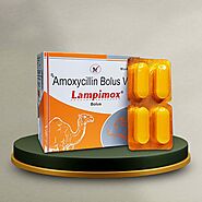 Lampimox Bolus - Le-Mantus Pharmaceuticals Pvt. Ltd.