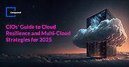 A CIO's Guide to Cloud Excellence: Resilience Strategies for 2025