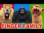 Finger Family - Lion, Gorilla, Tiger Singing Rhymes for Children - Finger Family Children Songs