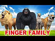 Finger Family Song - 3D Animation Rhymes for Children - Finger Family Children Rhymes