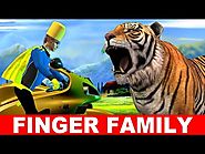 Finger Family Song - Cartoons For Children Songs - Finger Family Children Songs