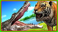 Tiger Finger Family Rhymes | Tiger Vs Crocodile Animal Fights | Animal Finger Family Videos for Kids