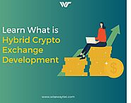 Learn What is Hybrid Crypto Exchange Development