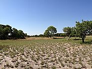 Liuwa Plains National park