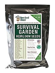 11,000 Non GMO Heirloom Vegetable Seeds 30 Variety Pack