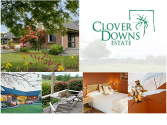 Clover Downs Estate