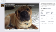 Facebook Page Insights Get Granular With Smarter Data, Negative Info & Engagement Stats