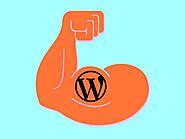 The Strengths and Weaknesses of WordPress