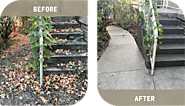 Transform Your Outdoor Spaces: High-Pressure Cleaning in Sydney, Sutherland Shire, and St. George