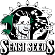 Sensi Seeds Blog