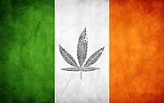 Irish Cannabis Blog