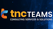 #1 Crypto & Blockchain Marketing Agency - TNC TEAMS™