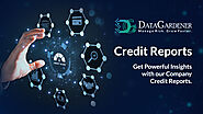 Get Powerful Insights with our Company Credit Reports.