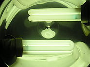 4. Use energy saving lightbulbs